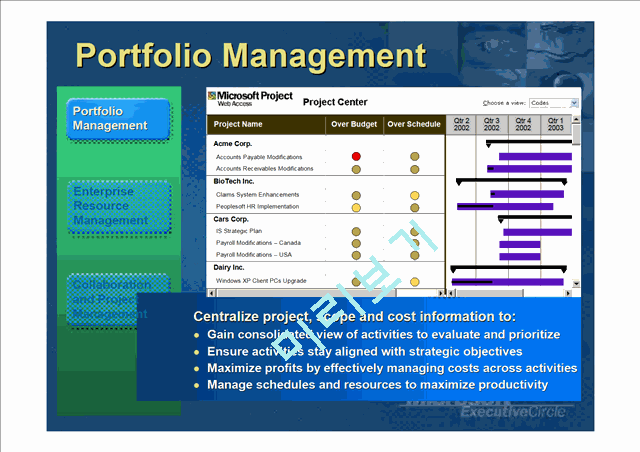 MICROSOFT EnterpriseProject   (7 )